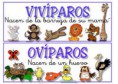 /album/fotogaleria/descarga-7-jpg/